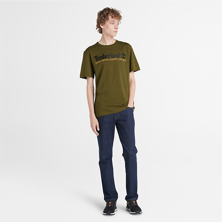 T-shirt Wind, Water, Earth and Sky™ pour homme en vert-