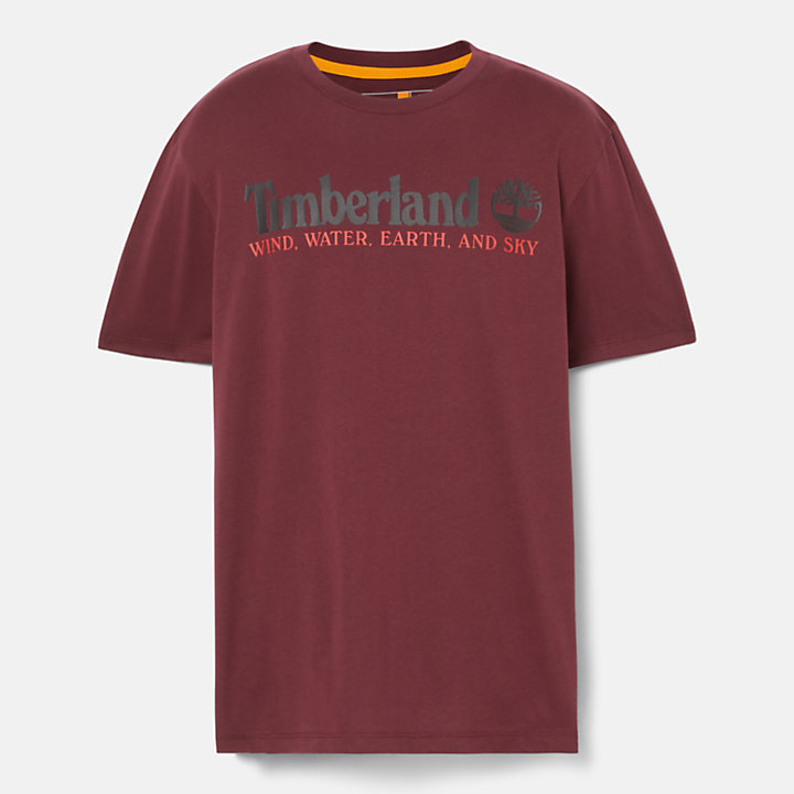 T-shirt Wind, Water, Earth and Sky™ pour homme en bordeaux-