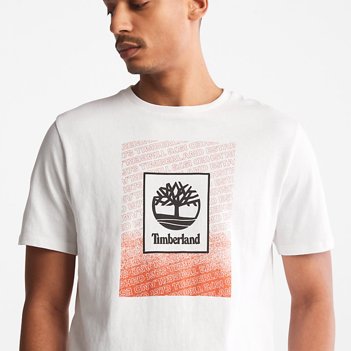 T-shirt da Uomo Outdoor Archive in bianco-