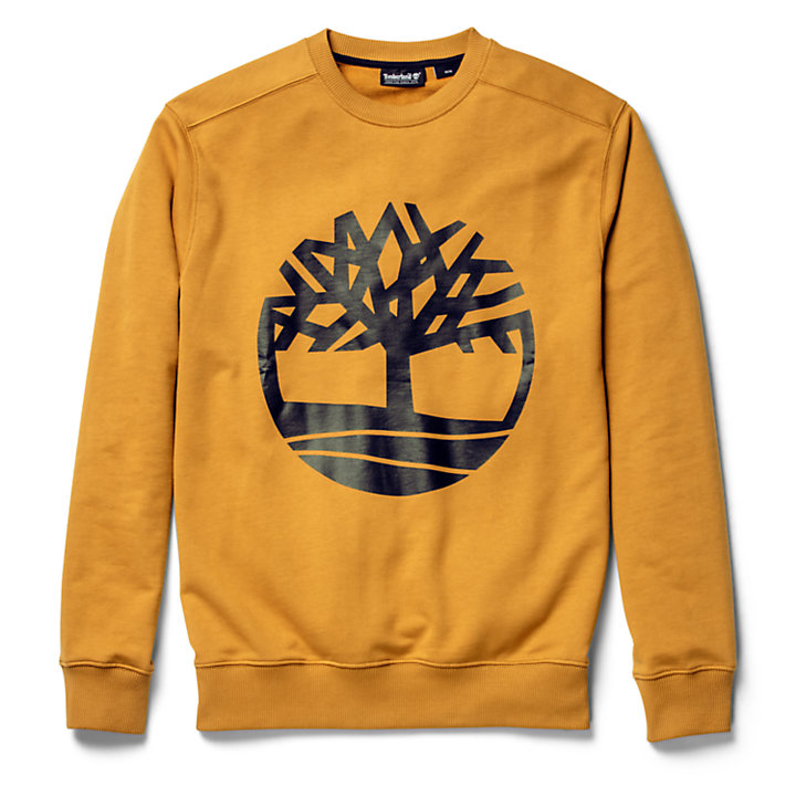 Tree Logo Sweatshirt for Men in Yellow | Timberland