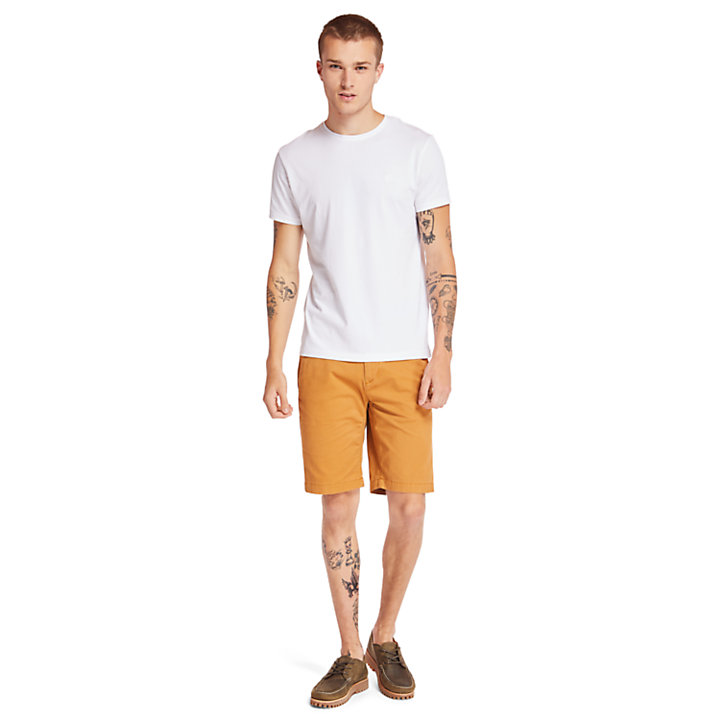 Squam Lake Stretch Chino Shorts for Men in Yellow-