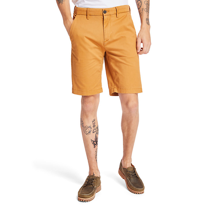 Squam Lake Stretch Chino Shorts for Men in Yellow-