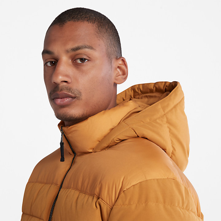 South Twin Jacket for Men in Yellow | Timberland