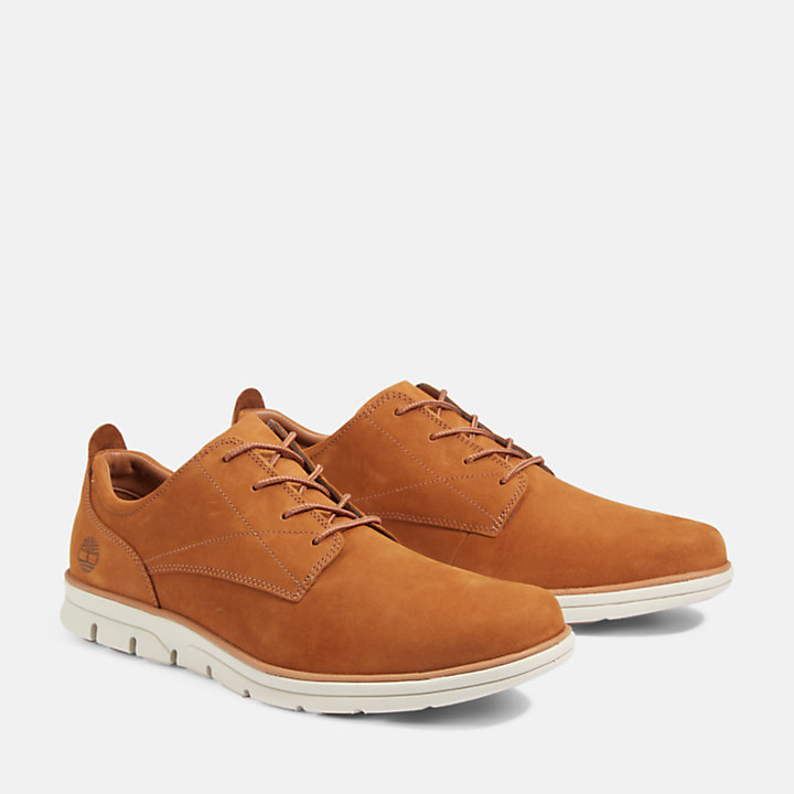 Chaussure en cuir Oxford Bradstreet pour homme en marron-