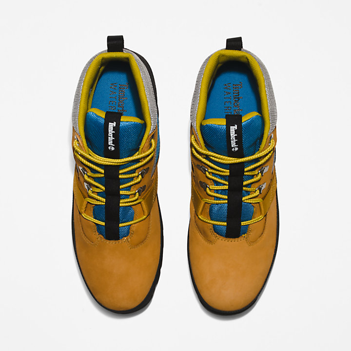 Bota Euro Hiker TimberDry™ para Homem em amarelo/azul-