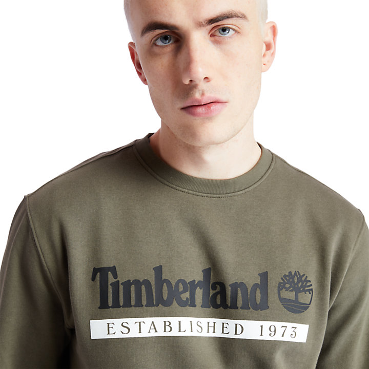 Established 1973 Sweatshirt for Men in Green-