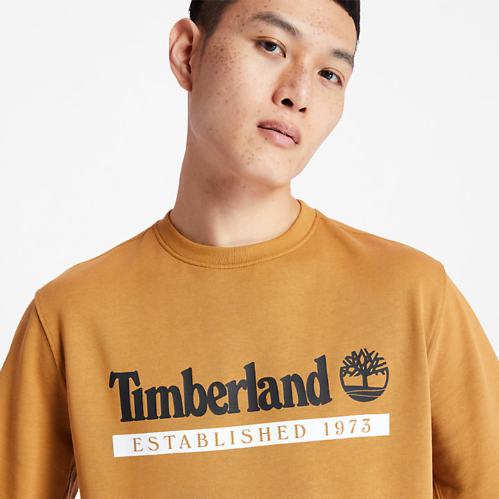 Established 1973 Crew Sweatshirt for Men in Yellow | Timberland