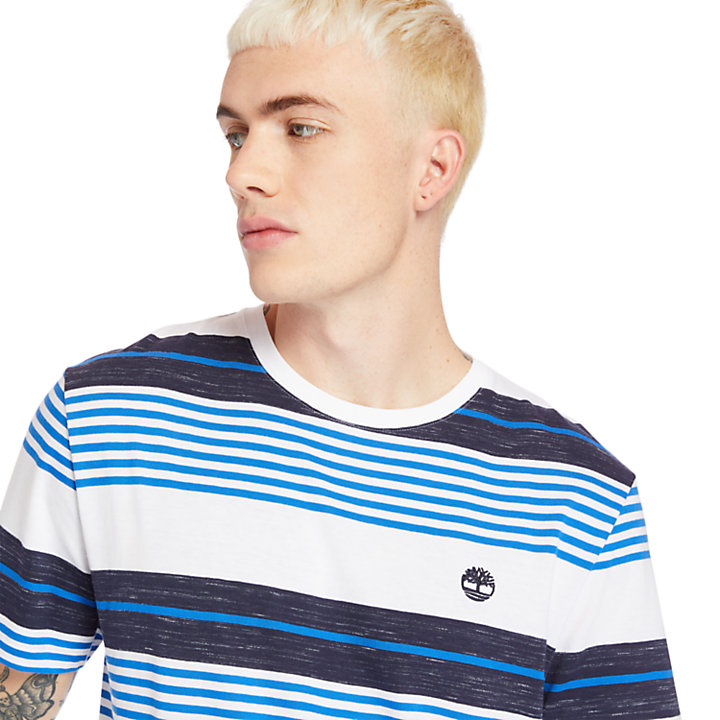 Wild Ammonoosuc River Striped T-Shirt for Men in Blue-
