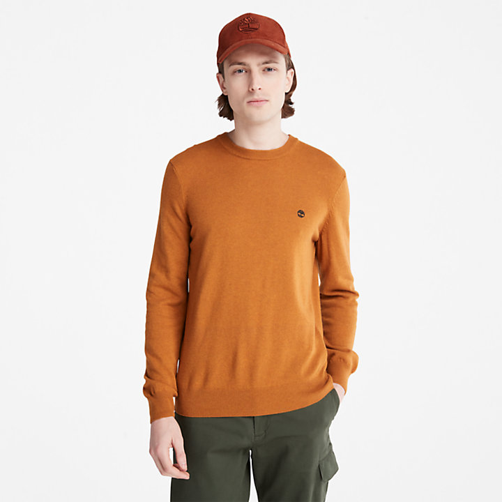 Knox River Sweater for Men in Yellow-