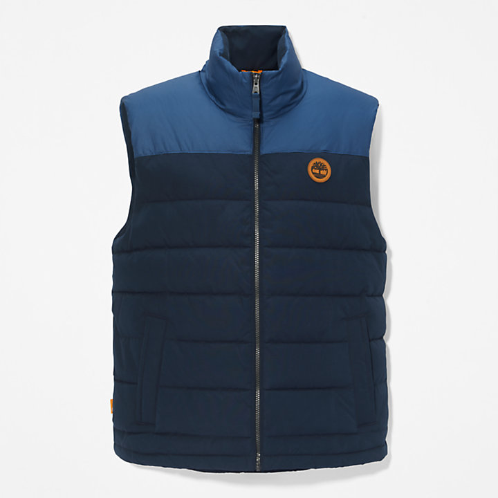 South Twin Gilet for Men in Navy-