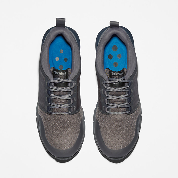 Zapato de trabajo Radius con Puntera de Aleación para Hombre en gris y azul-