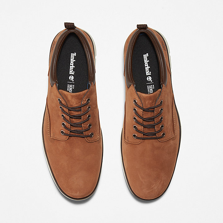 Bradstreet Leather Oxford for Men in Brown