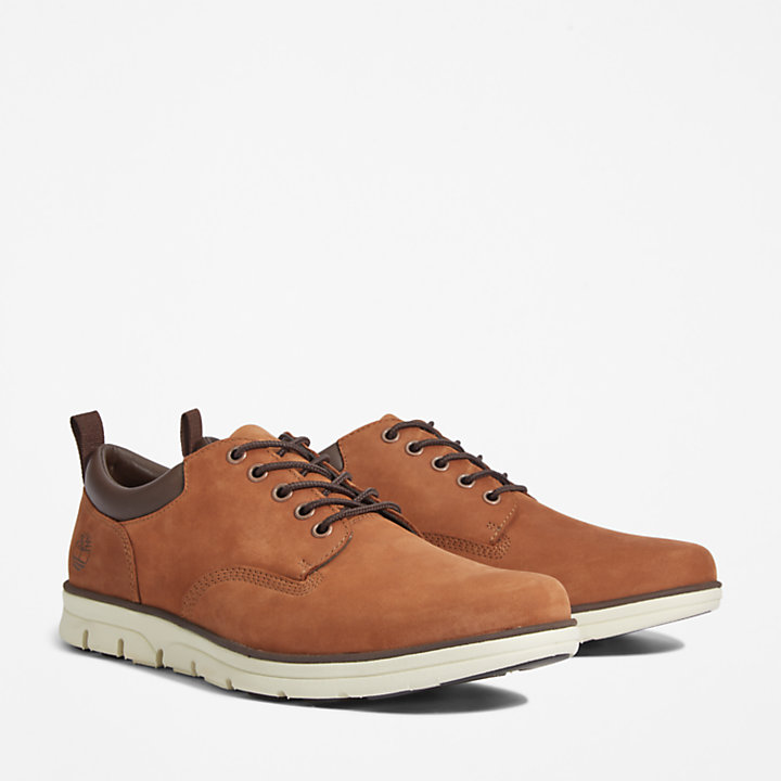 Bradstreet Leather Oxford for Men in Brown | Timberland