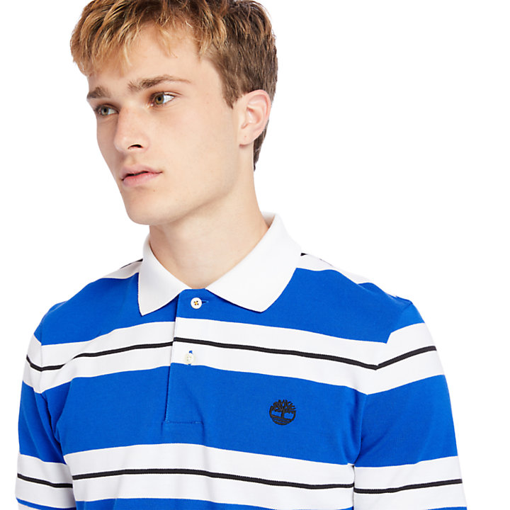 Millers River Striped Polo Shirt for Men in Blue-