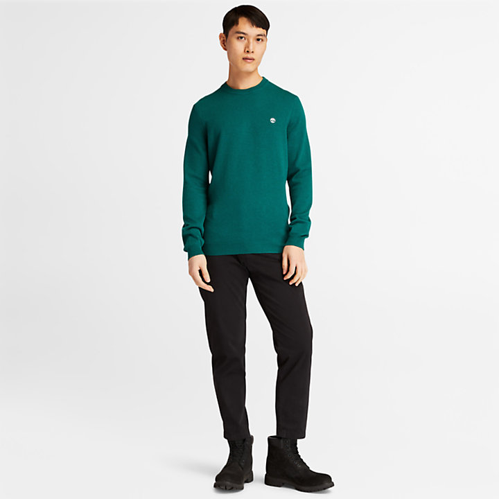Cohas Brook Crewneck Sweater for Men in Green-