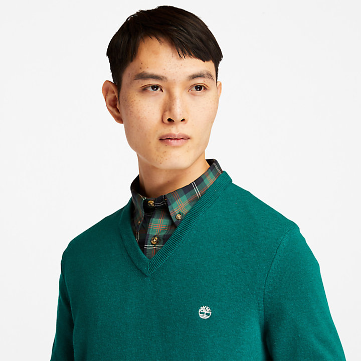 Cohas Brook V-Neck Sweater for Men in Green-