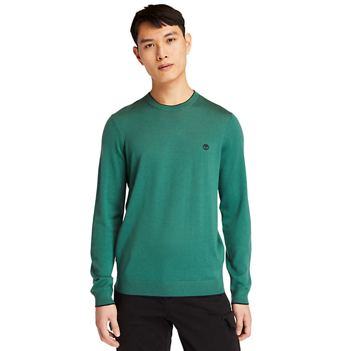 Nissitissit River Merino Wool Sweater for Men in Green-