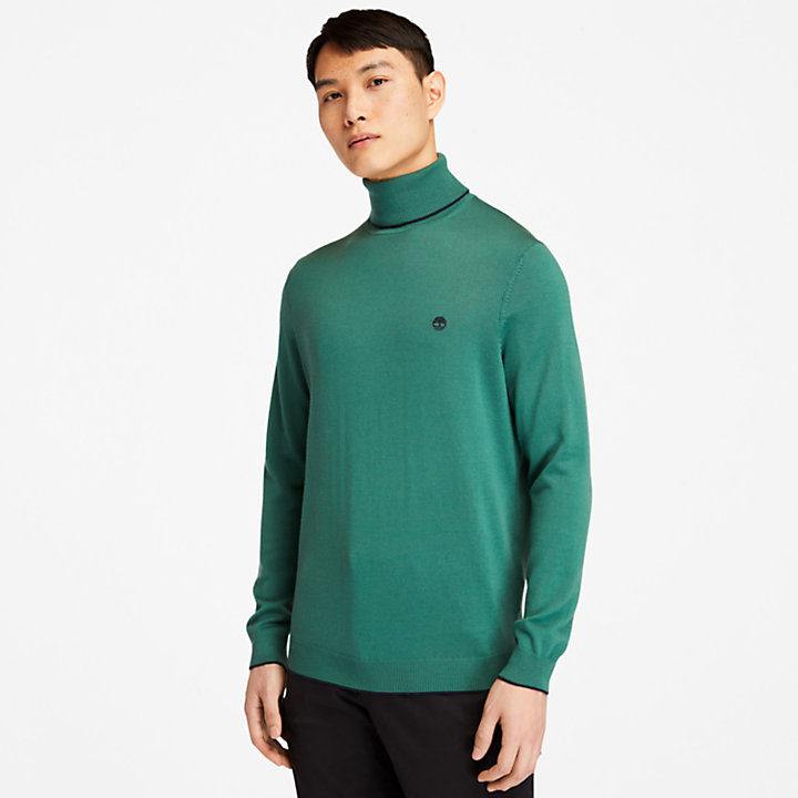 Nissitissit River Merino Sweater for Men in Green-