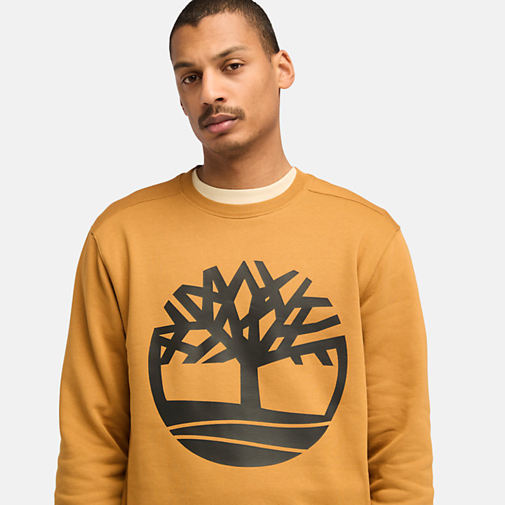 Sweat-shirt à logo arbre Timberland® pour homme en orange-