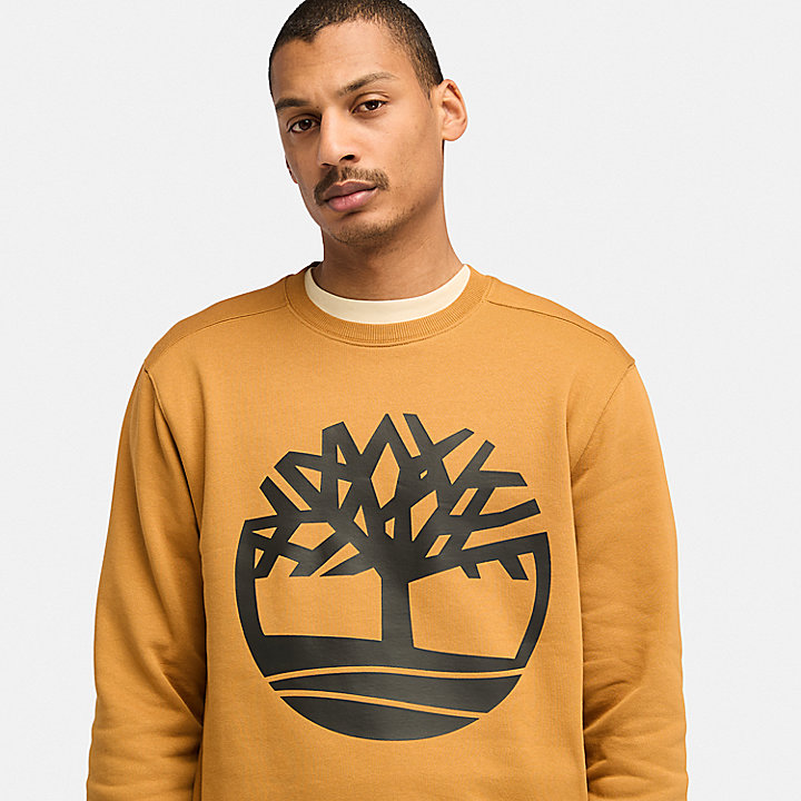 Sweat-shirt à logo arbre Timberland® pour homme en orange