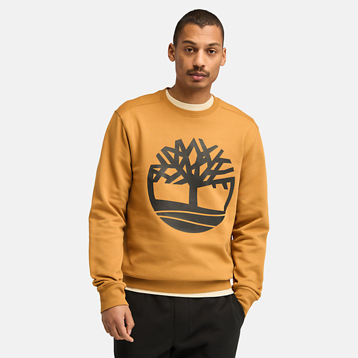 Sweat-shirt à logo arbre Core pour homme en jaune-