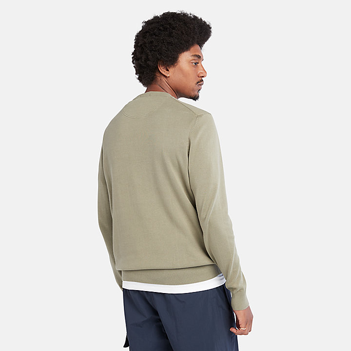 Williams River Crewneck Sweater for Men in Light Green