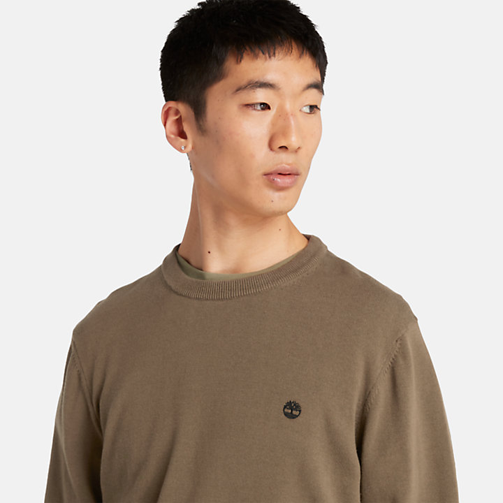 Williams River Organic Cotton Sweater for Men in Dark Green-
