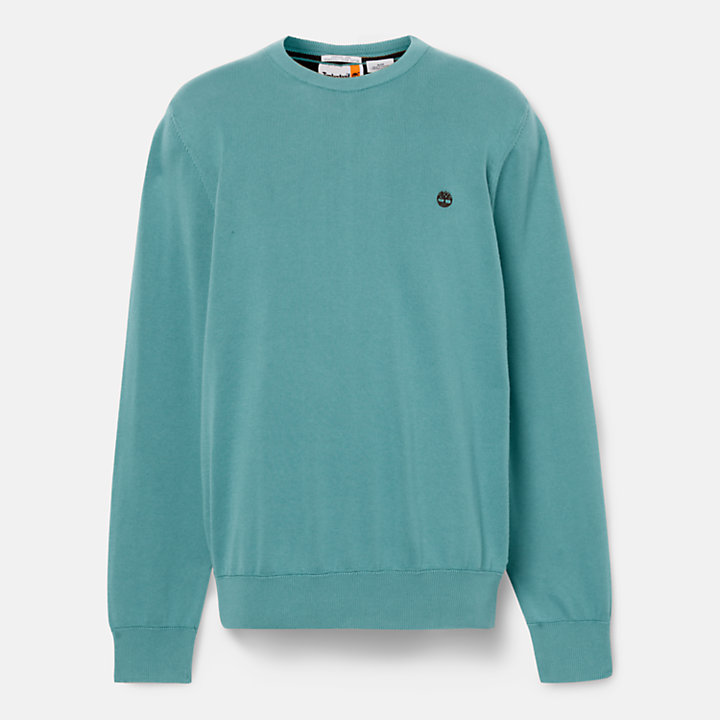 Williams River Crewneck Sweater for Men in Teal-