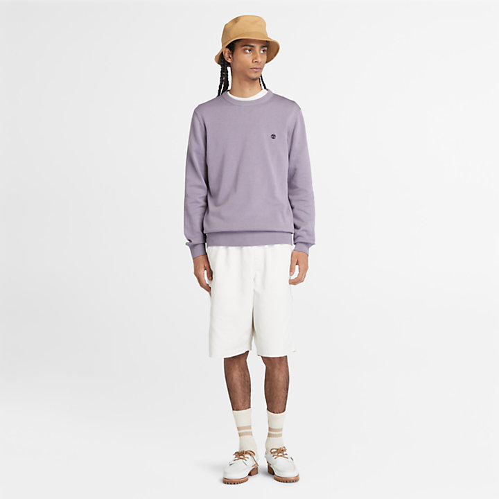 Williams River Crewneck Sweater for Men in Purple-