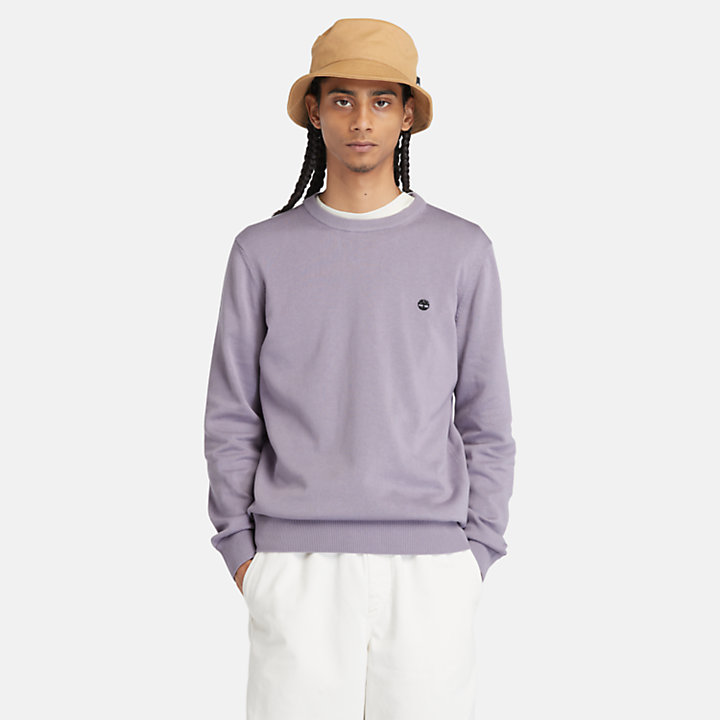 Williams River Crewneck Sweater for Men in Purple-