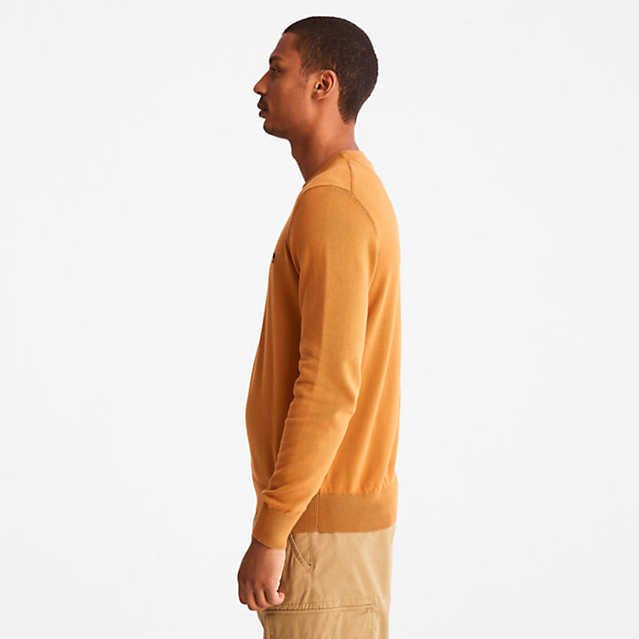 Williams River Organic Cotton Sweater for Men in Yellow-