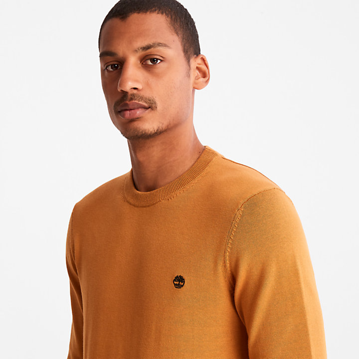 Williams River Organic Cotton Sweater for Men in Yellow-