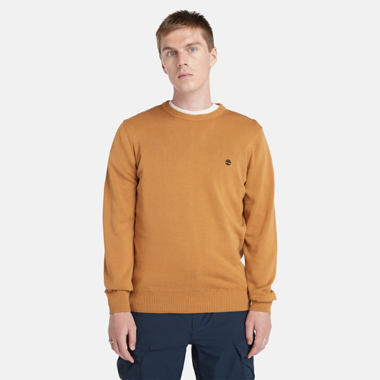Williams River Organic Cotton Sweater for Men in Yellow | Timberland