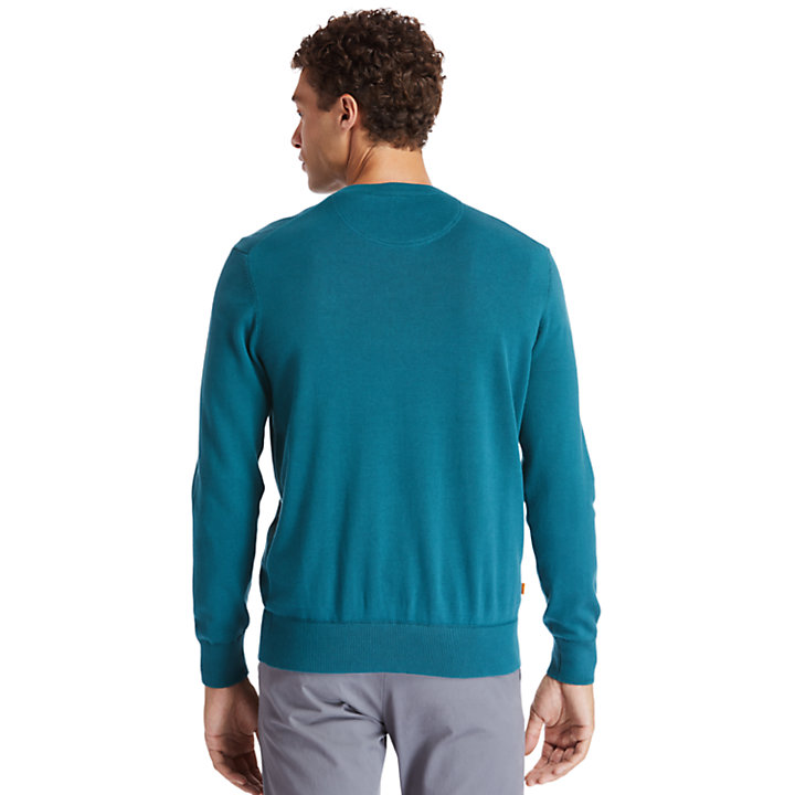 Williams River V-neck Sweater for Men in Green-