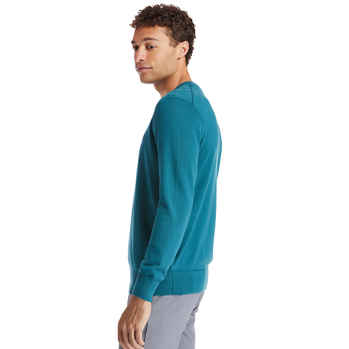 Williams River V-neck Sweater for Men in Green-