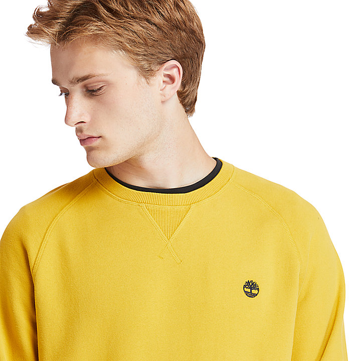 Exeter River Sweatshirt for Men in Yellow