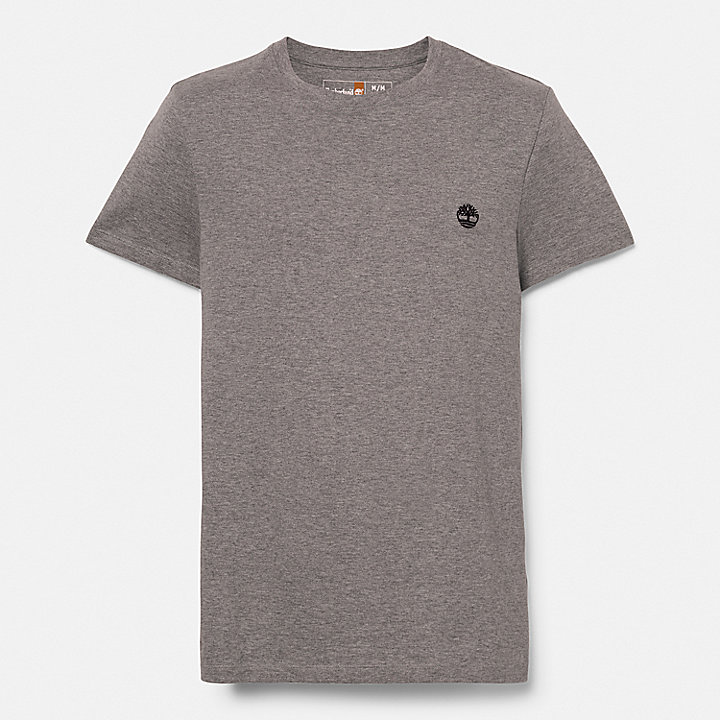 Dunstan River T-shirt met ronde hals voor heren in grijs