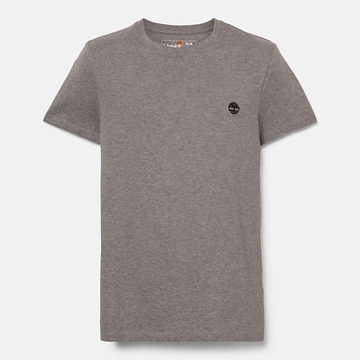 T-shirt à col rond Dunstan River pour homme en gris-