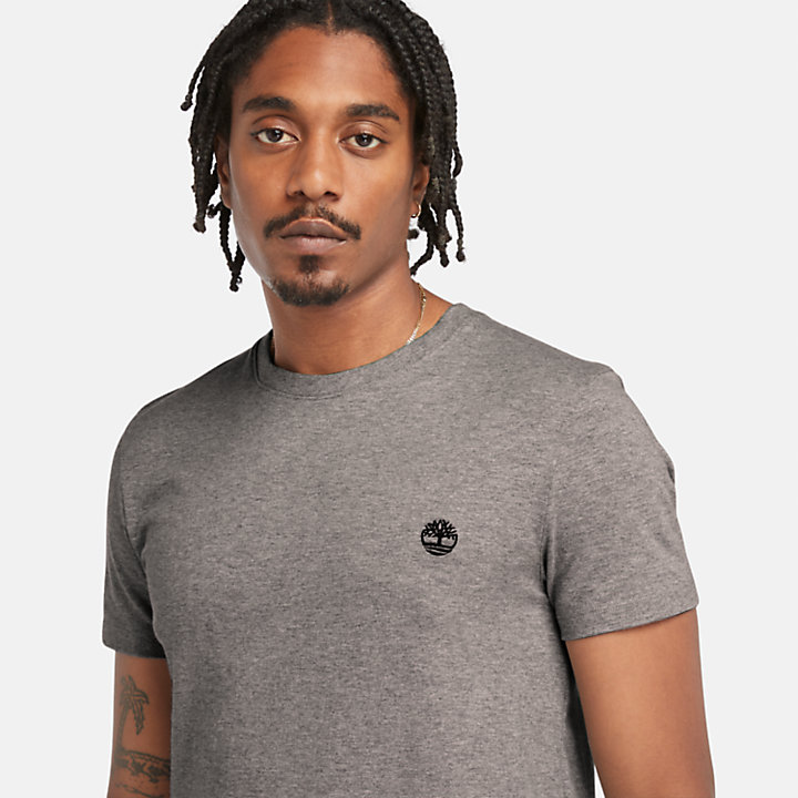 Dunstan River T-shirt met ronde hals voor heren in grijs-