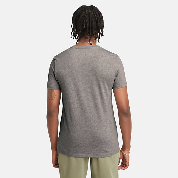 Dunstan River T-shirt met ronde hals voor heren in grijs-