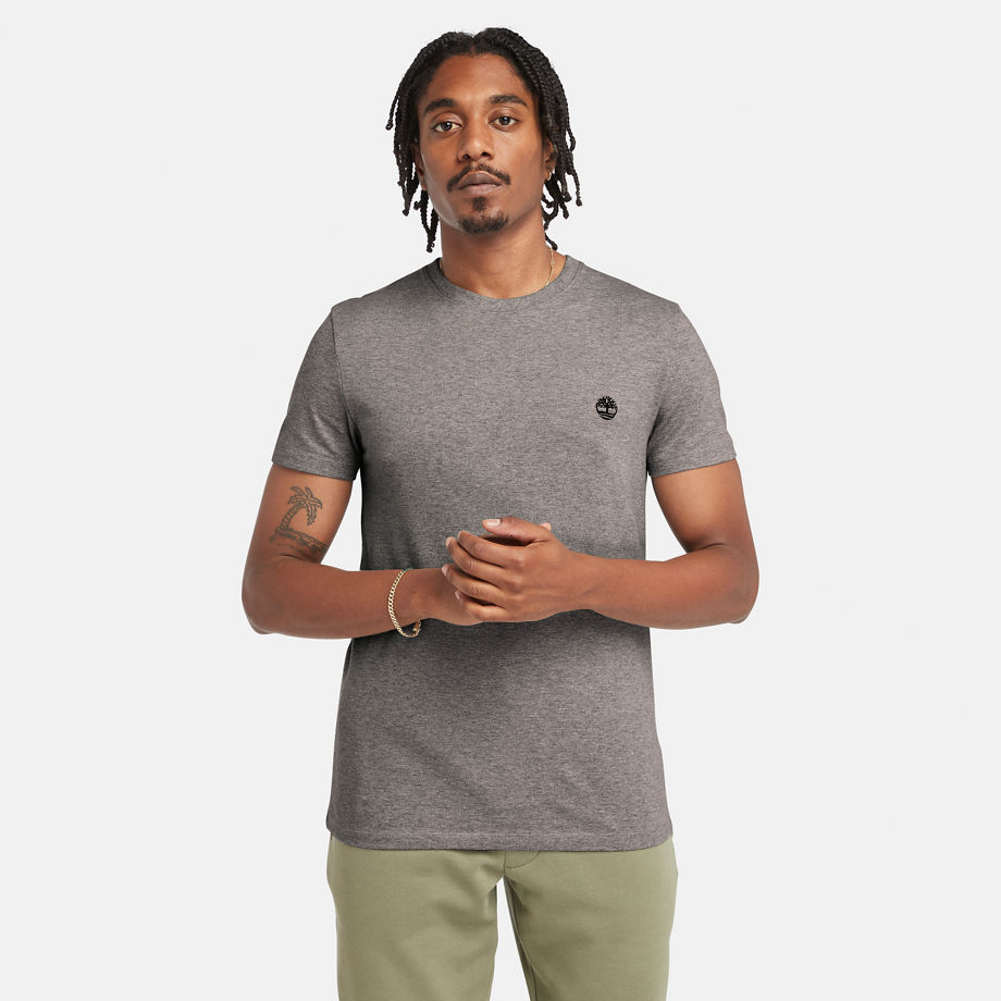 Timberland Dunstan River Crewneck T-shirt For Men In Grey Grey, Size XXL