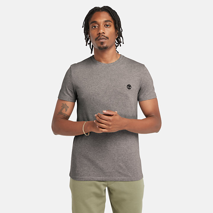 Dunstan River T-Shirt for Men in Grey-