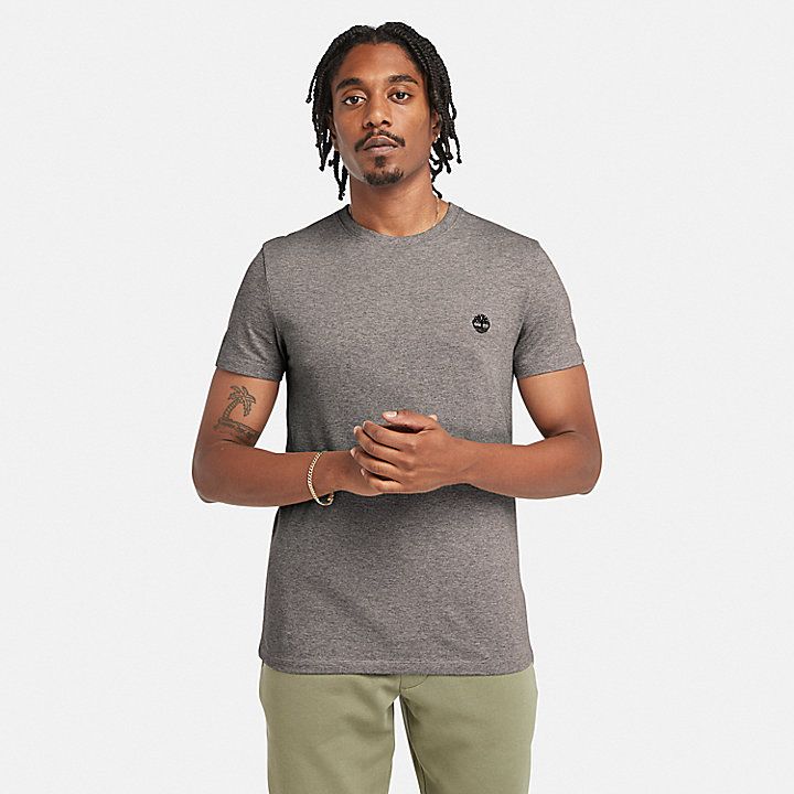 Camiseta de cuello redondo Dunstan River para hombre en gris