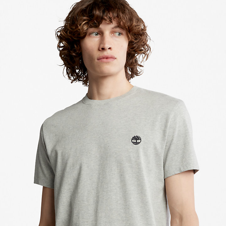 Dunstan River T-Shirt im Slim Fit für Herren in Grau-