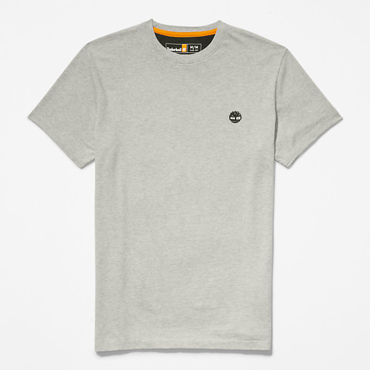 T-shirt à col rond Dunstan River pour homme en gris-