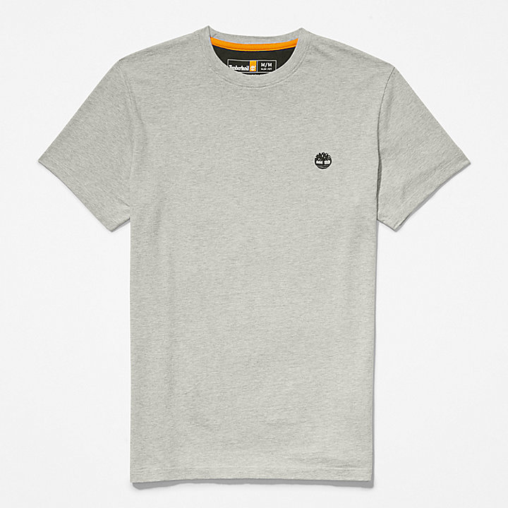 Dunstan River T-shirt voor heren in grijs