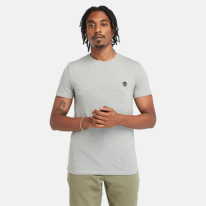 T-shirt Slim-Fit Dunstan River da Uomo in grigio
