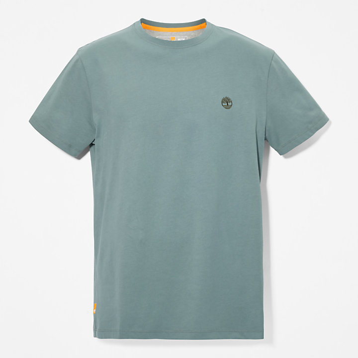 Camiseta de cuello redondo Dunstan River para hombre en verde-
