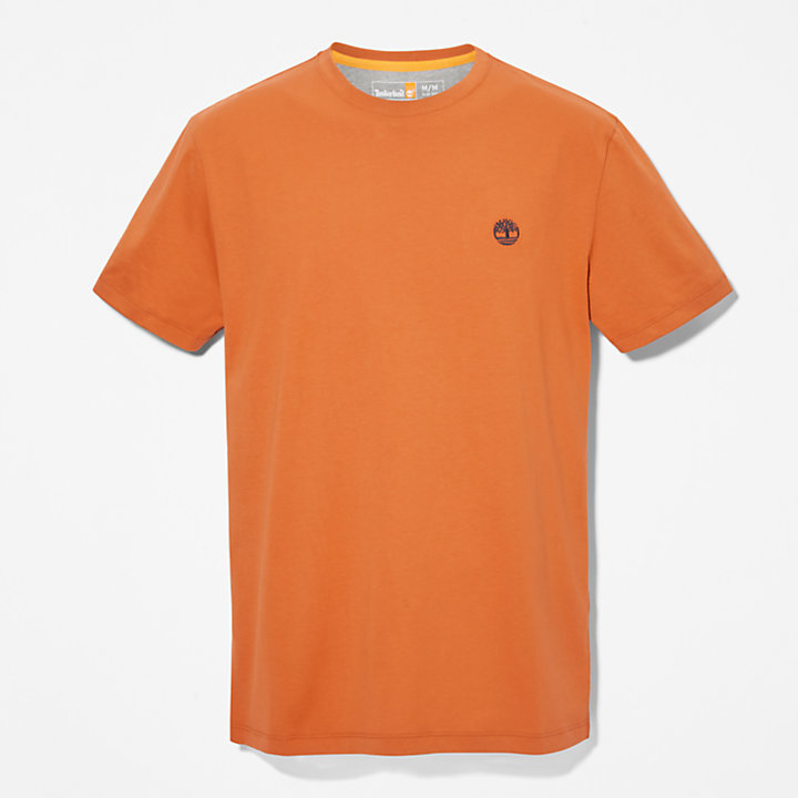 T-shirt de Gola Redonda Dunstan River para Homem em castanho-