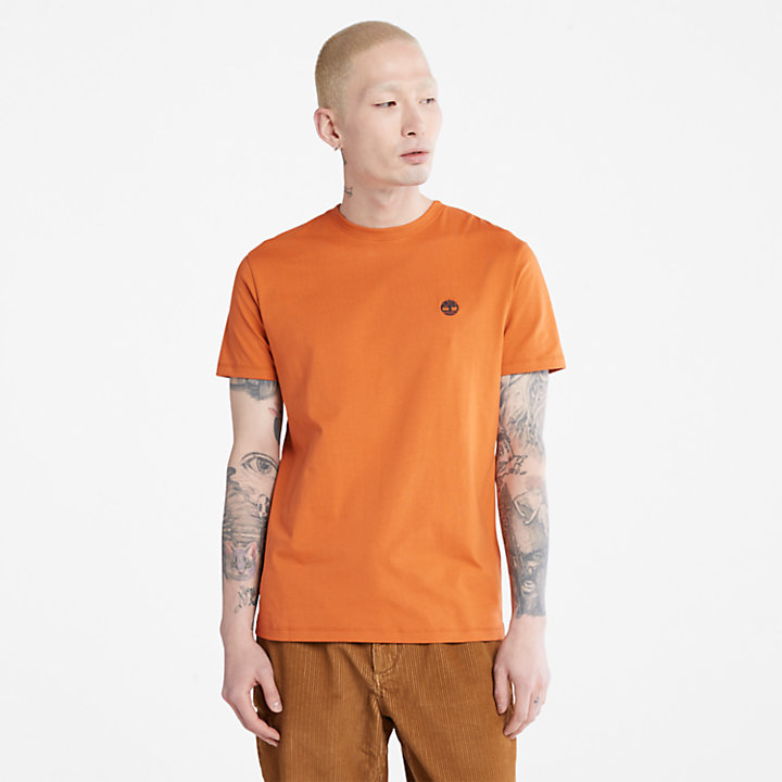 T-shirt à col rond Dunstan River pour homme en marron-
